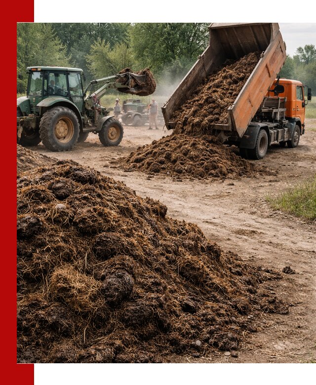 Доставка навоза самосвалами в Барабинске для сельхозпотребностей