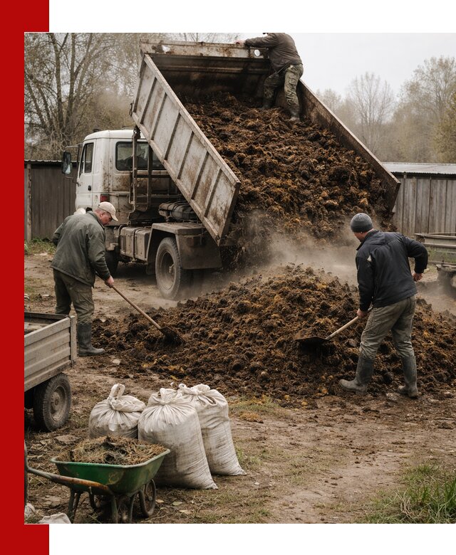Доставка коровьего навоза самосвалом в Барабинске